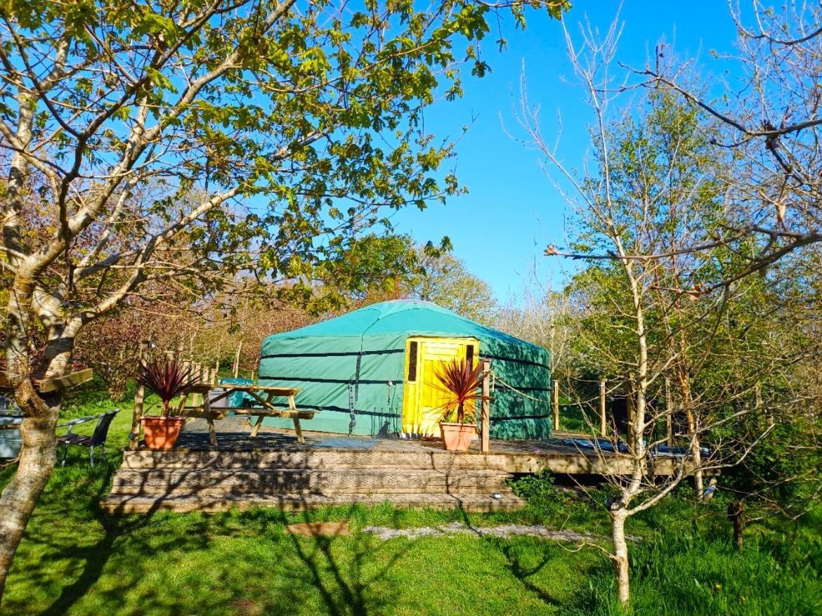 The Yurt In Cornish Woods A Glamping Experience Luxe tent
